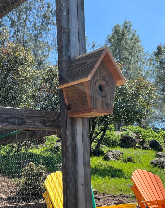Birdhouse - Home Tweet Home